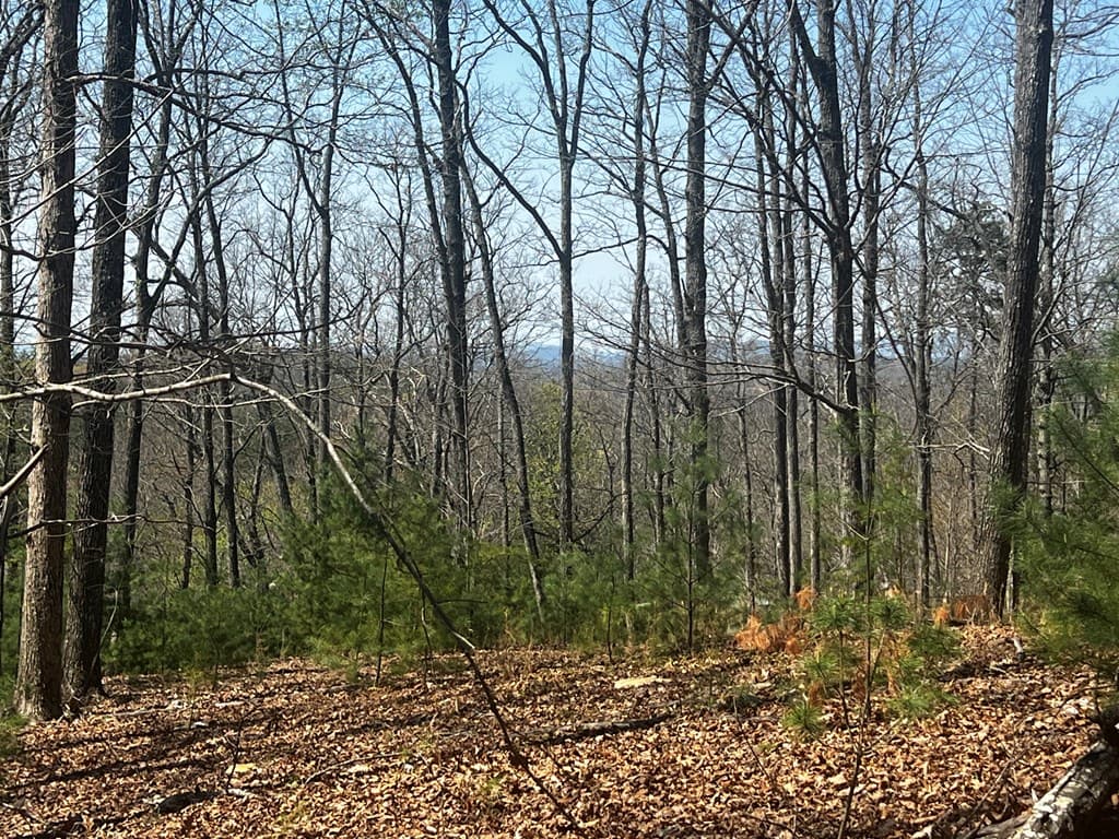 LOT 5 High Country Lane, Morganton GA 30560 - Photo