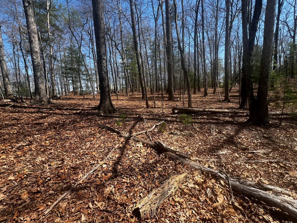 LOT 5 High Country Lane, Morganton GA 30560 - Photo