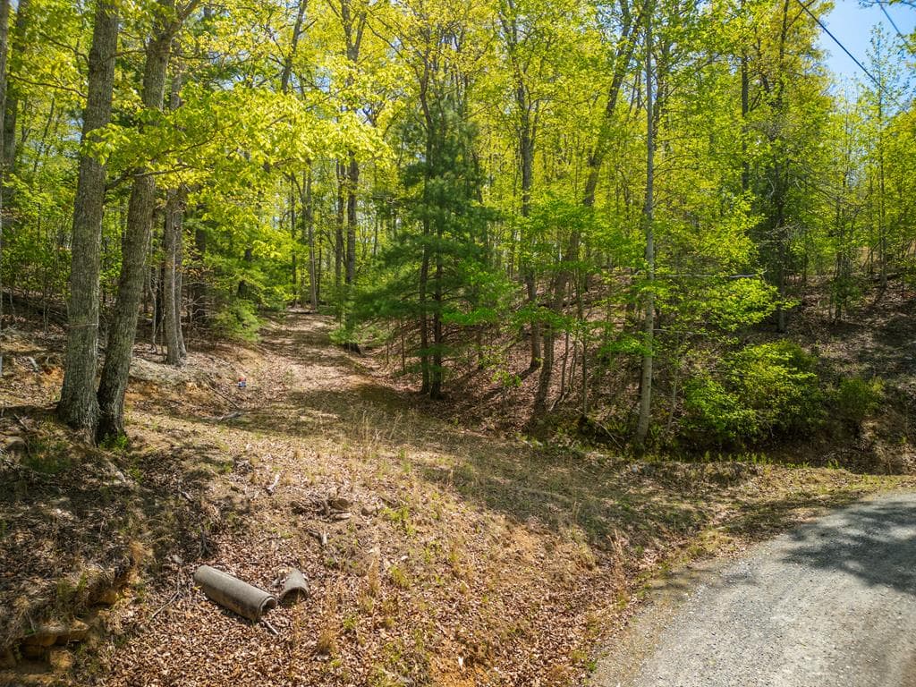 LOT 5 High Country Lane, Morganton GA 30560 - Photo