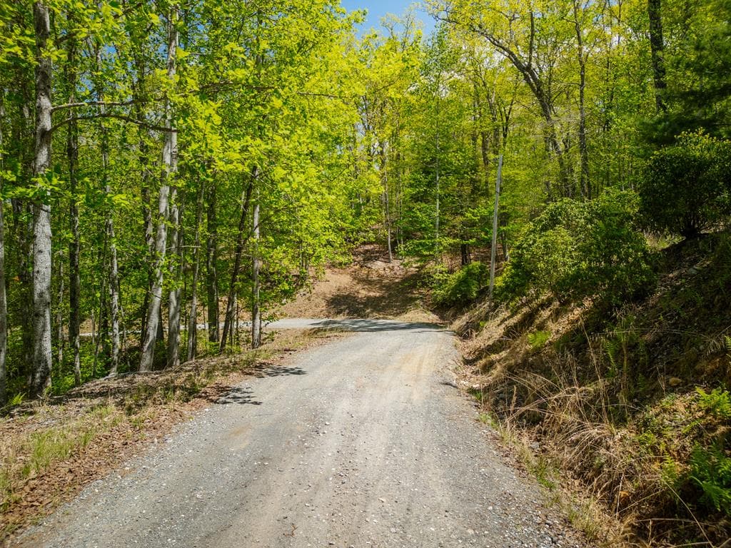 LOT 5 High Country Lane, Morganton GA 30560 - Photo