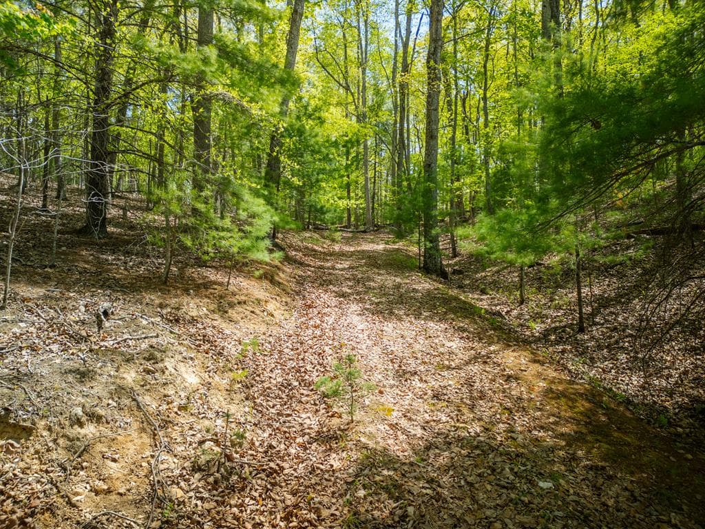 LOT 5 High Country Lane, Morganton GA 30560 - Photo