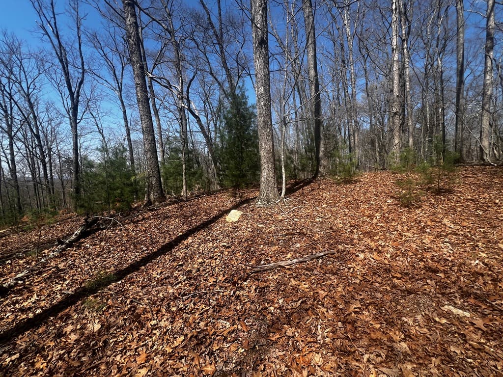 LOT 5 High Country Lane, Morganton GA 30560 - Photo