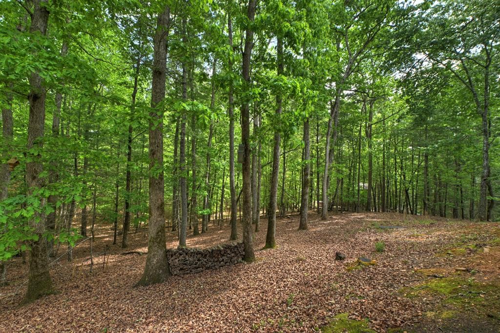 366 Shepherds Way, Morganton GA 30560 - Photo