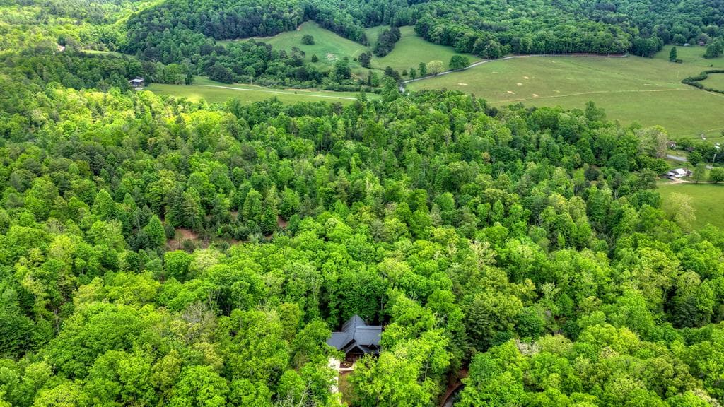 366 Shepherds Way, Morganton GA 30560 - Photo