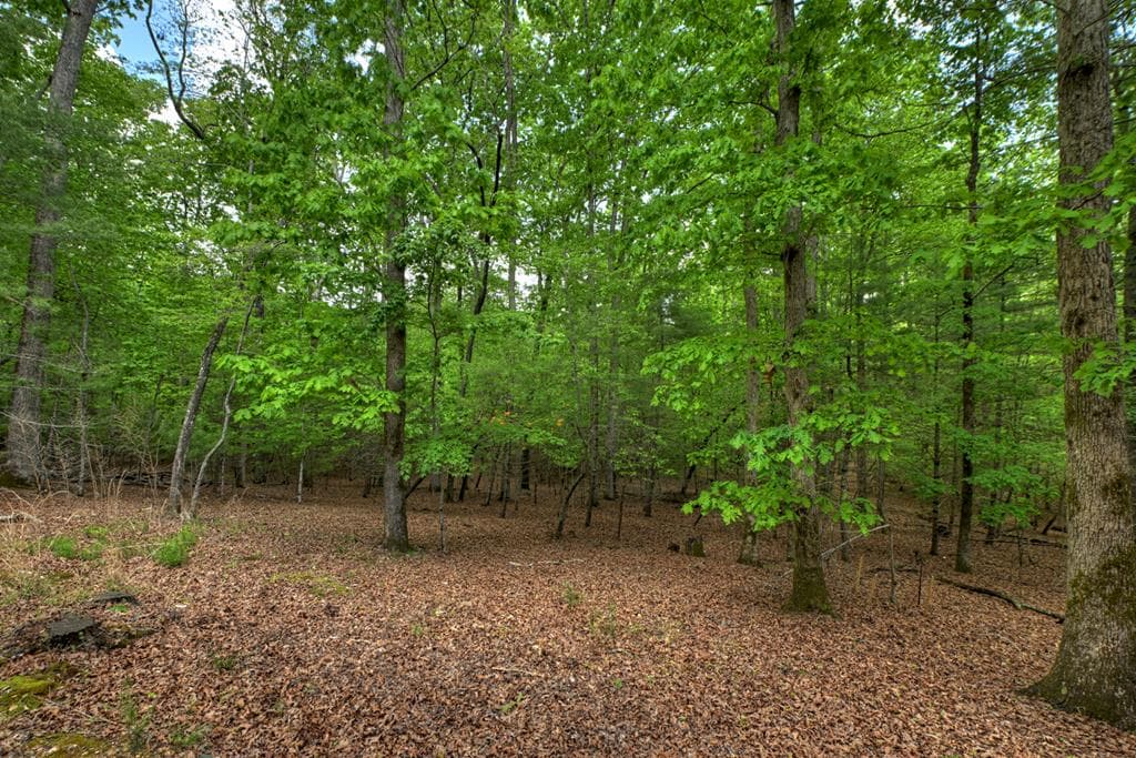 366 Shepherds Way, Morganton GA 30560 - Photo