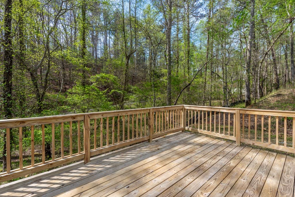 295 Rose Wood Lane, Ellijay GA 30540 - Photo