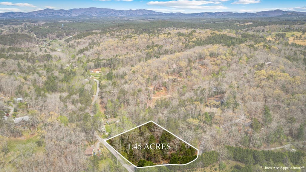 Lot 1 Wolf Creek Estates, Mineral Bluff GA 30559 - Photo