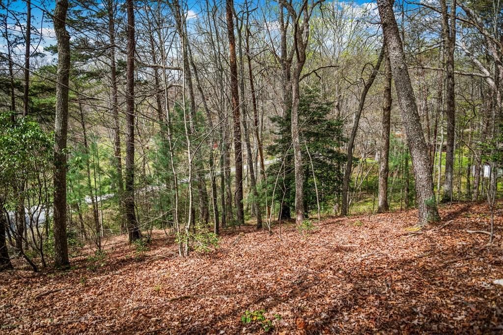 Lot 1 Wolf Creek Estates, Mineral Bluff GA 30559 - Photo