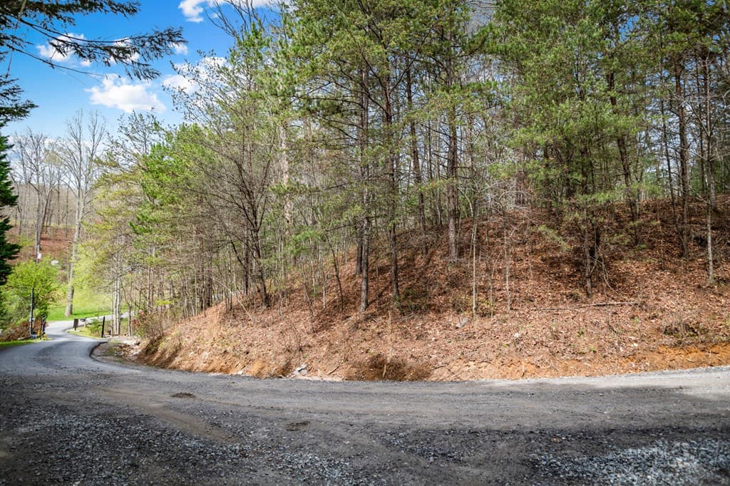 Lot 1 Wolf Creek Estates, Mineral Bluff GA 30559 - Photo