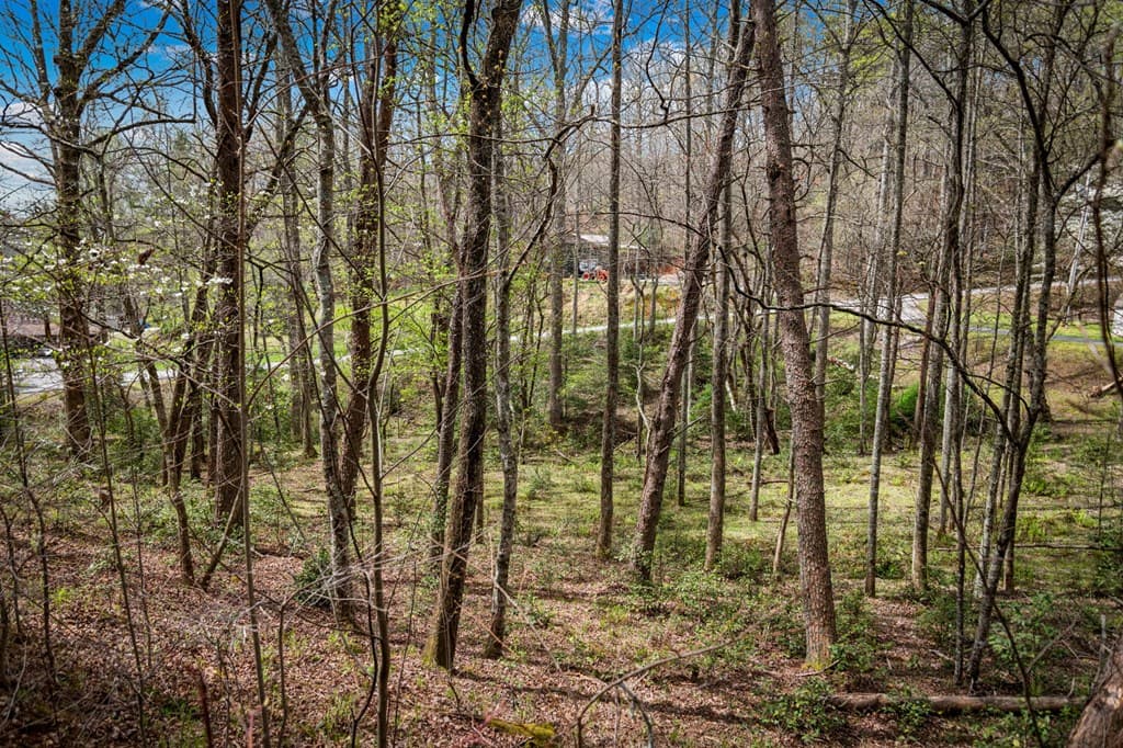 Lot 1 Wolf Creek Estates, Mineral Bluff GA 30559 - Photo