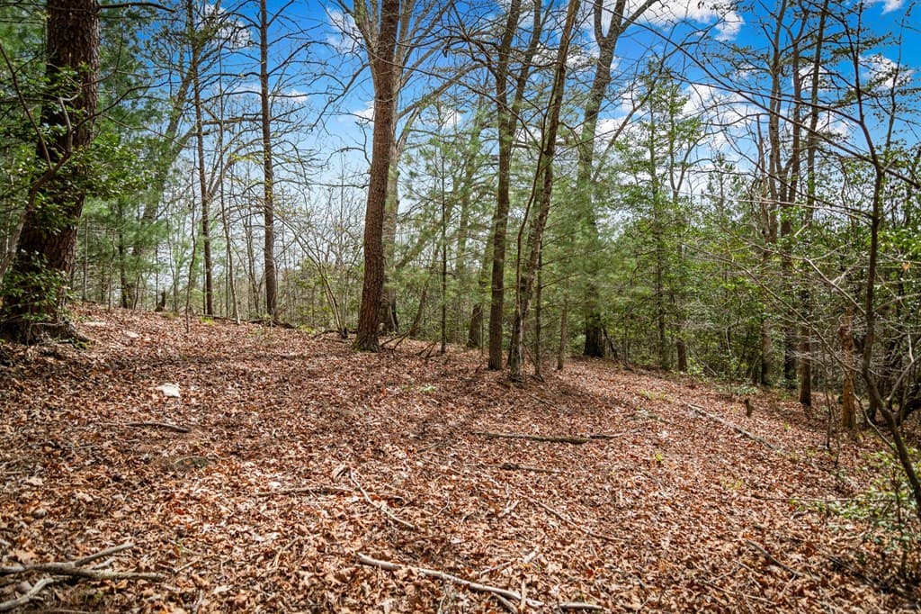 Lot 1 Wolf Creek Estates, Mineral Bluff GA 30559 - Photo