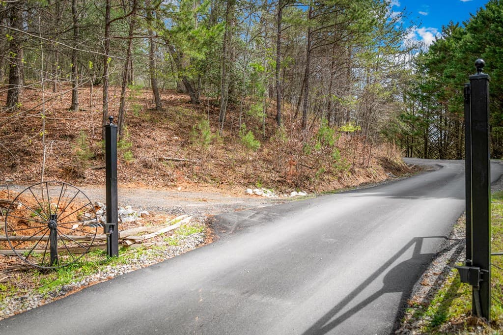 Lot 1 Wolf Creek Estates, Mineral Bluff GA 30559 - Photo