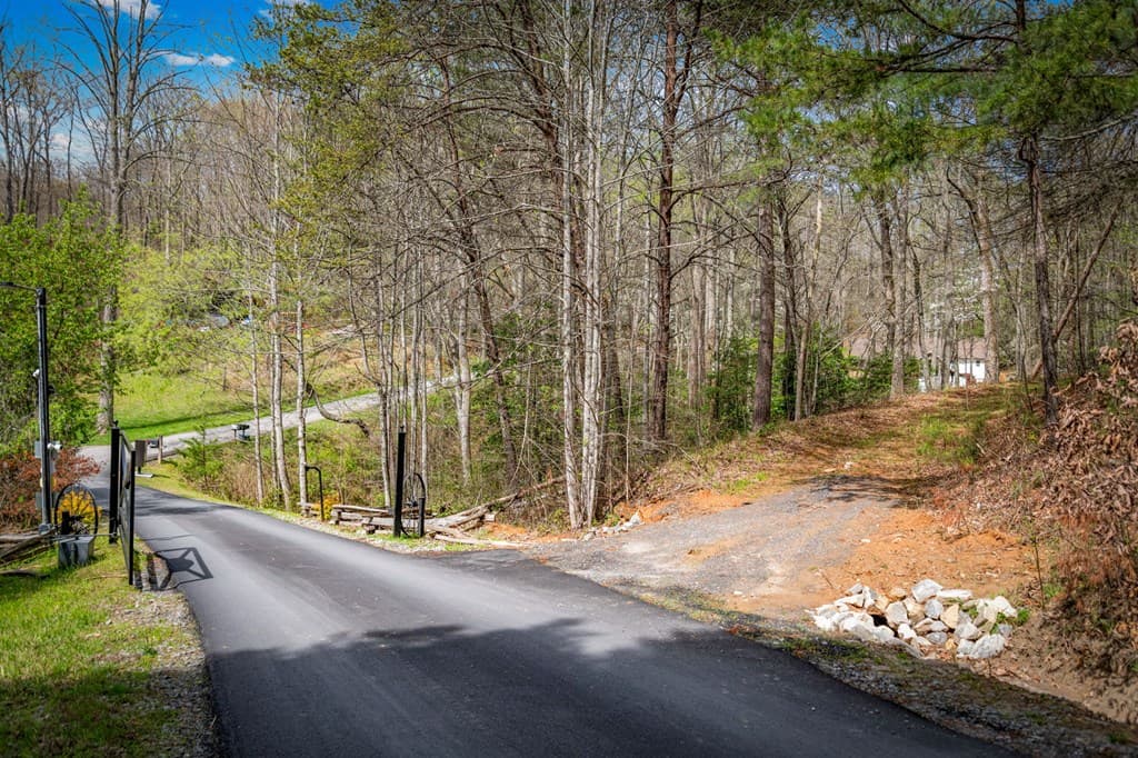Lot 1 Wolf Creek Estates, Mineral Bluff GA 30559 - Photo