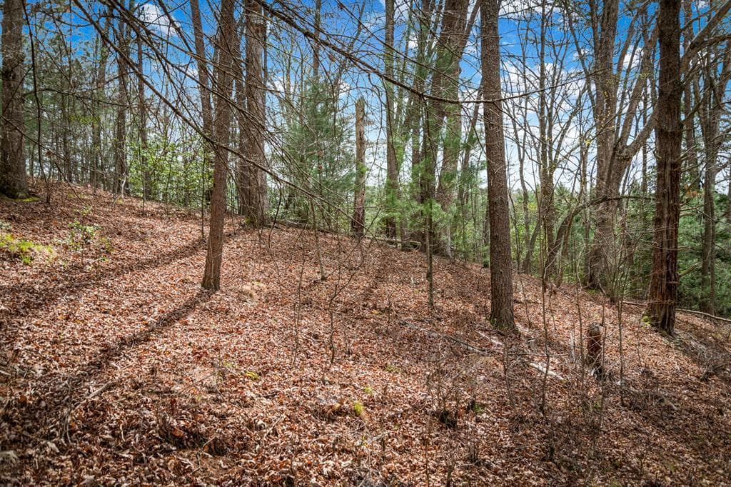 Lot 1 Wolf Creek Estates, Mineral Bluff GA 30559 - Primary photo
