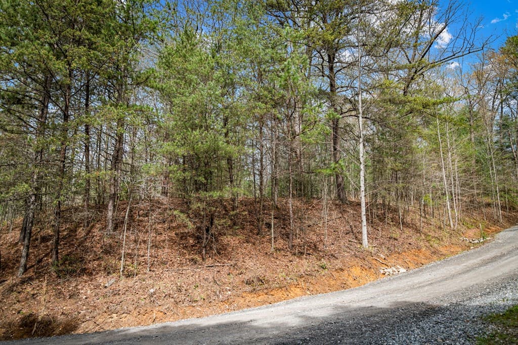 Lot 1 Wolf Creek Estates, Mineral Bluff GA 30559 - Photo