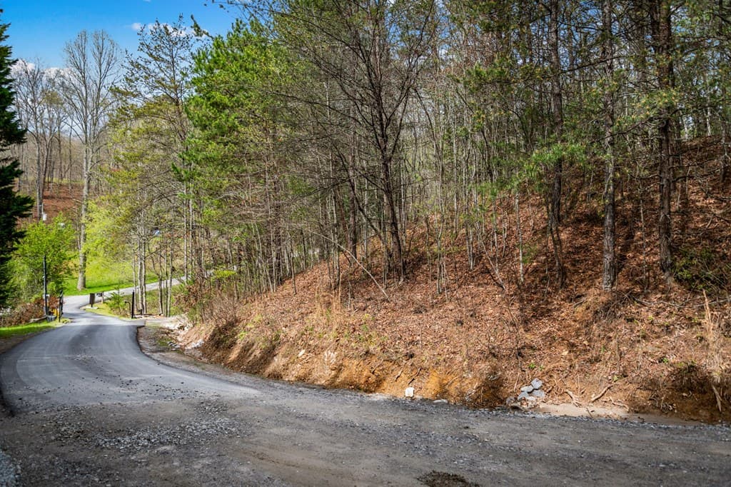 Lot 1 Wolf Creek Estates, Mineral Bluff GA 30559 - Photo
