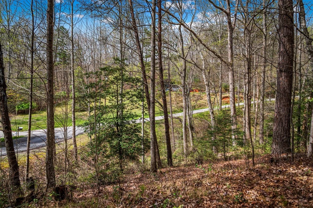 Lot 1 Wolf Creek Estates, Mineral Bluff GA 30559 - Photo