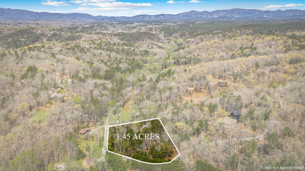 Lot 1 Wolf Creek Estates, Mineral Bluff GA 30559 - Photo