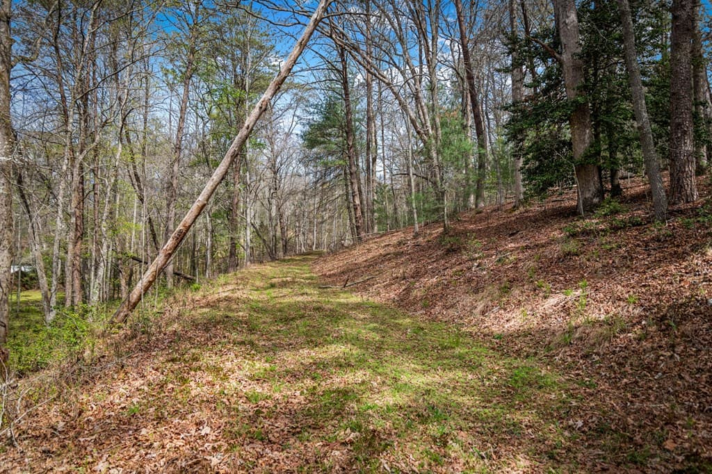Lot 1 Wolf Creek Estates, Mineral Bluff GA 30559 - Photo