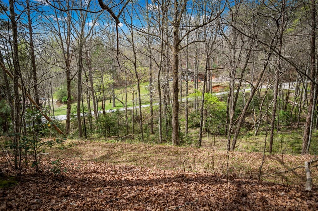 Lot 1 Wolf Creek Estates, Mineral Bluff GA 30559 - Photo