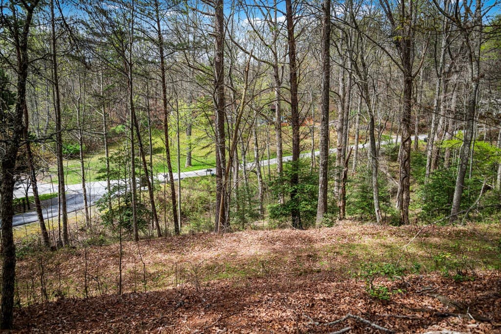 Lot 1 Wolf Creek Estates, Mineral Bluff GA 30559 - Photo