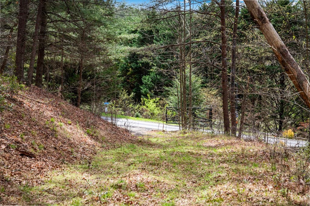 Lot 1 Wolf Creek Estates, Mineral Bluff GA 30559 - Photo
