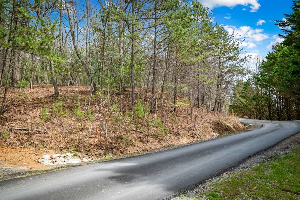 Lot 1 Wolf Creek Estates, Mineral Bluff GA 30559 - Photo