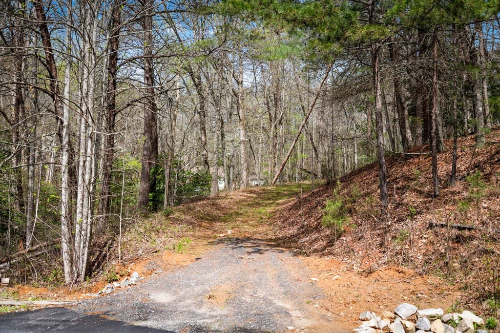 Lot 1 Wolf Creek Estates, Mineral Bluff GA 30559 - Photo