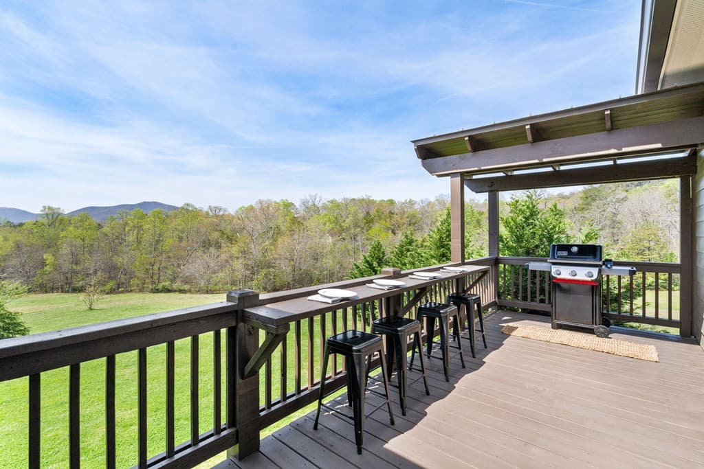 69 Lyndhurst Lane, Young Harris GA 30582 - Photo