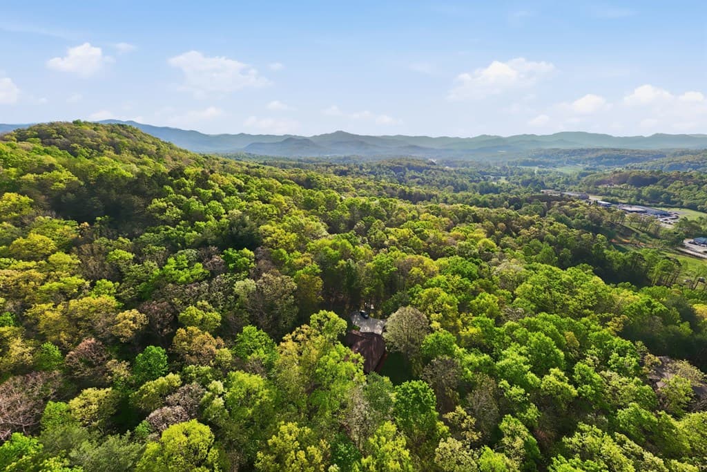 273 Cox Lane, Hayesville NC 28904 - Photo