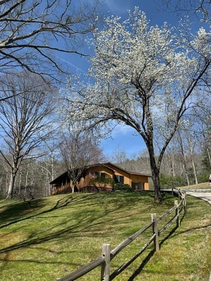 273 Cox Lane, Hayesville NC 28904 - Photo