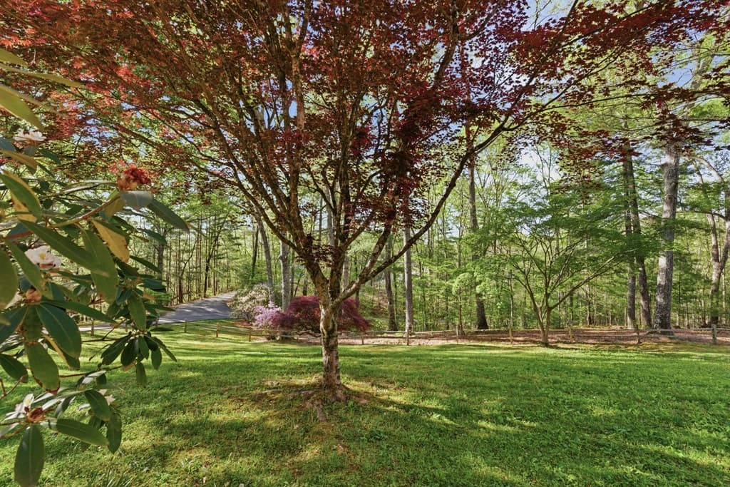 273 Cox Lane, Hayesville NC 28904 - Photo