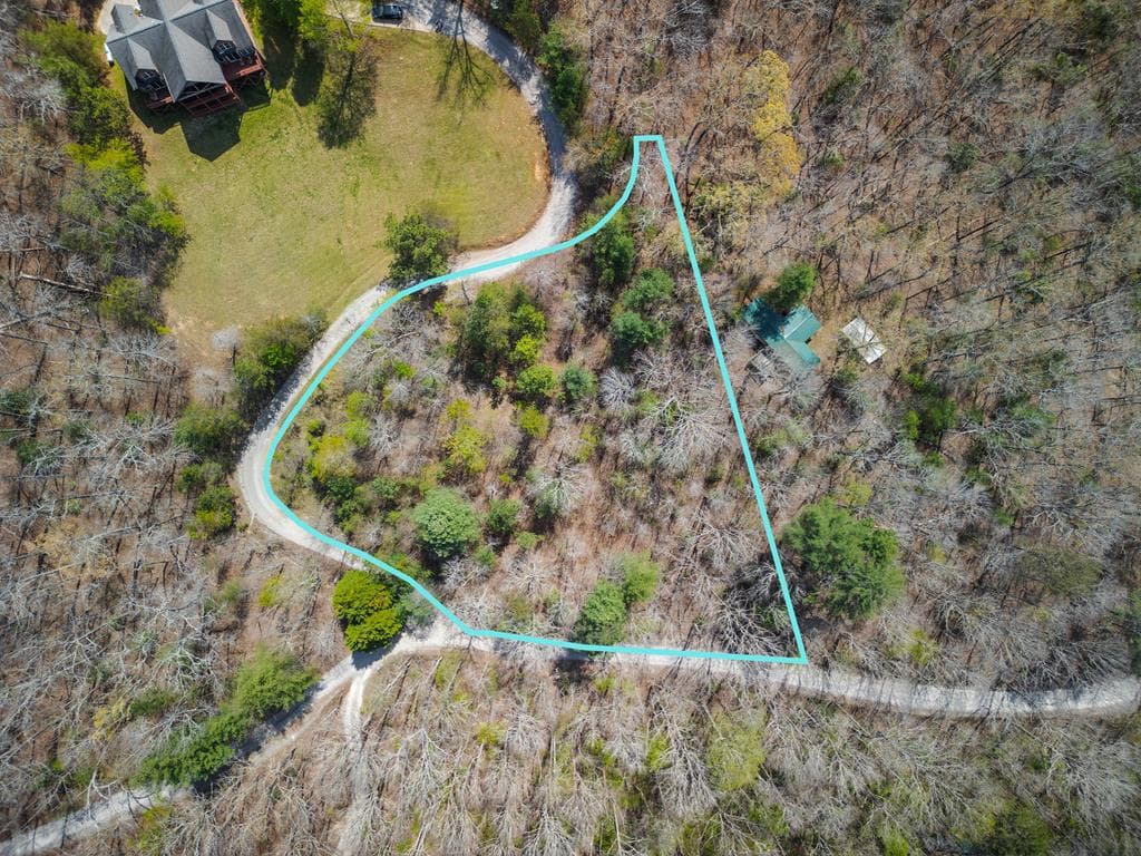 1.02Acre Jennifer Lane, Mineral Bluff GA 30559 - Photo