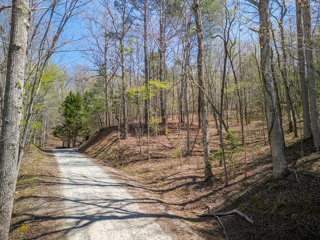 1.02Acre Jennifer Lane, Mineral Bluff GA 30559 - Photo