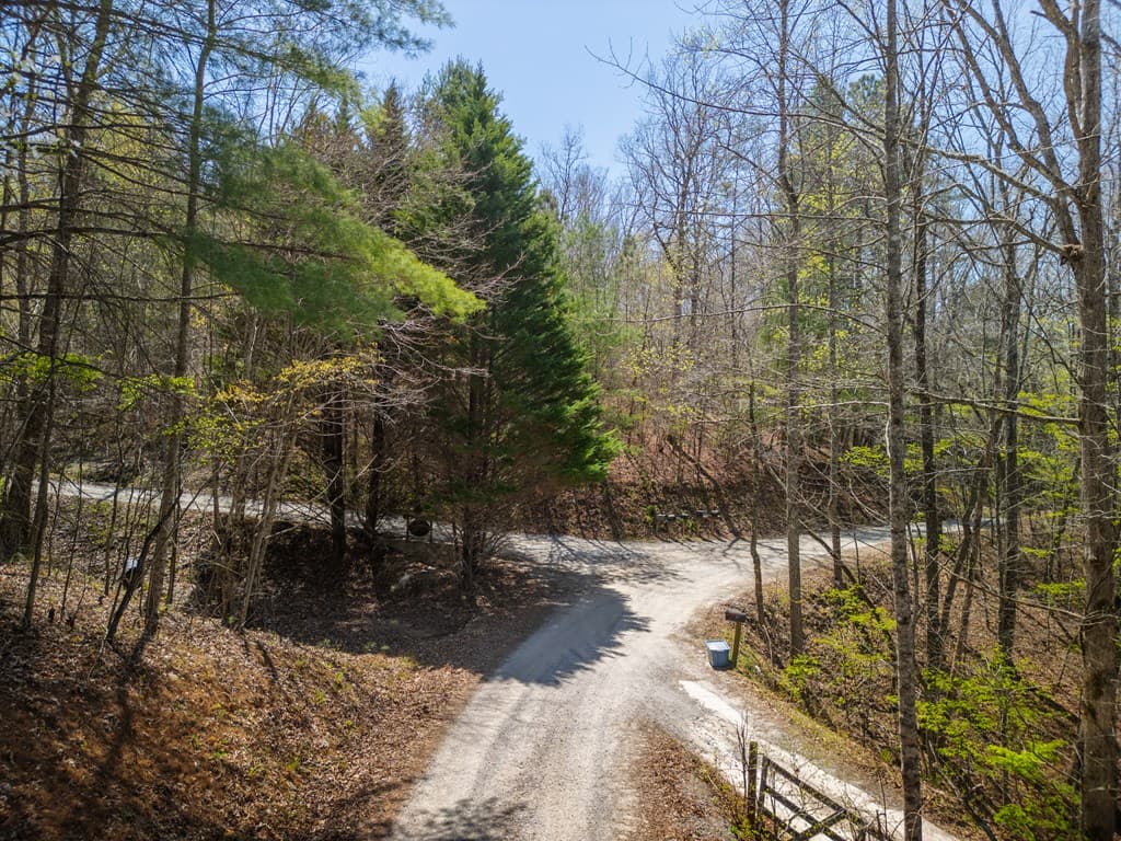1.02Acre Jennifer Lane, Mineral Bluff GA 30559 - Photo