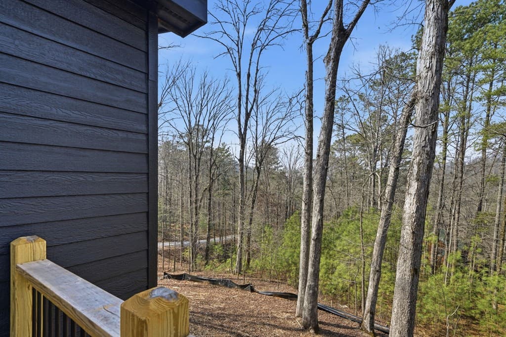 890 Joliet Drive, Ellijay GA 30540 - Photo