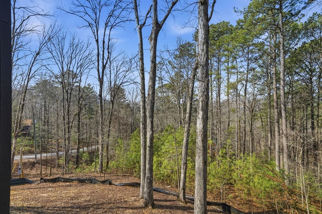 890 Joliet Drive, Ellijay GA 30540 - Photo