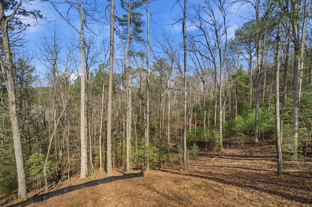890 Joliet Drive, Ellijay GA 30540 - Photo