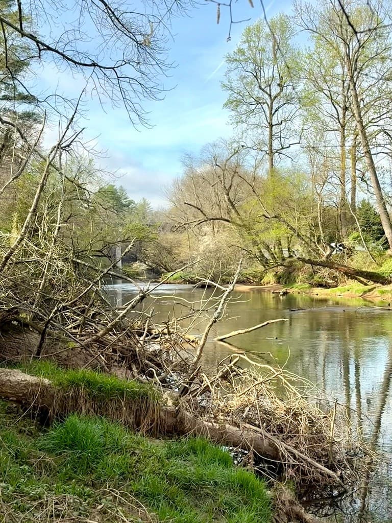 11.87 AC Die Bend Road, Murphy NC 28906 - Photo