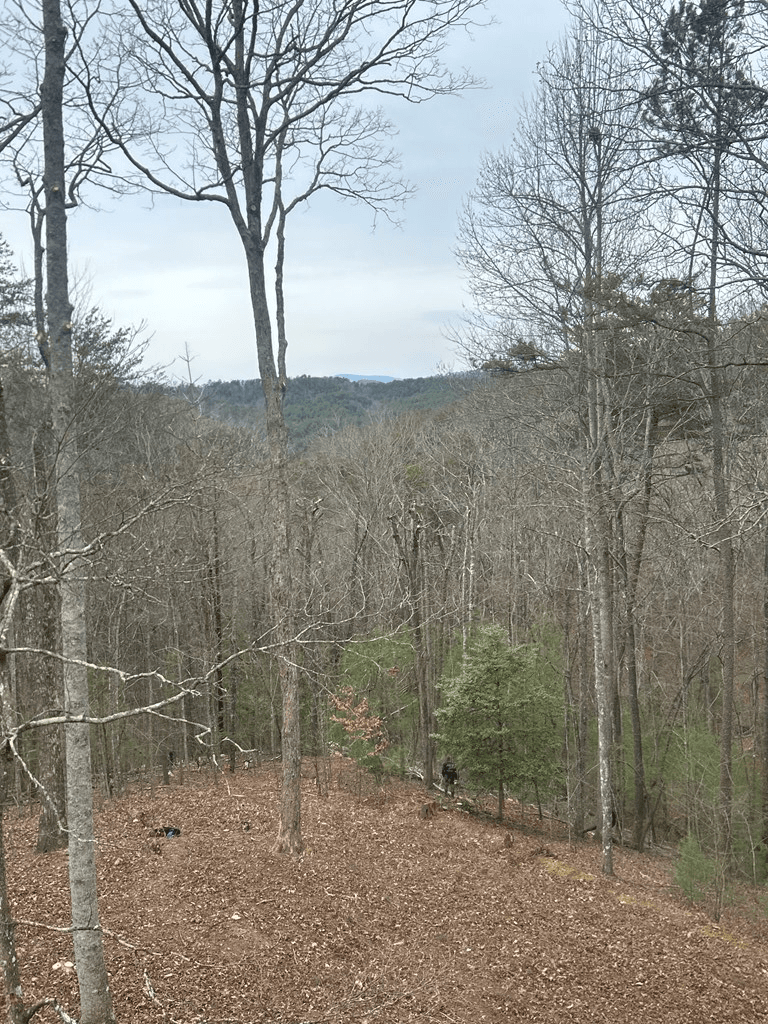 1600 My Mountain Road, Morganton GA 30560 - Photo