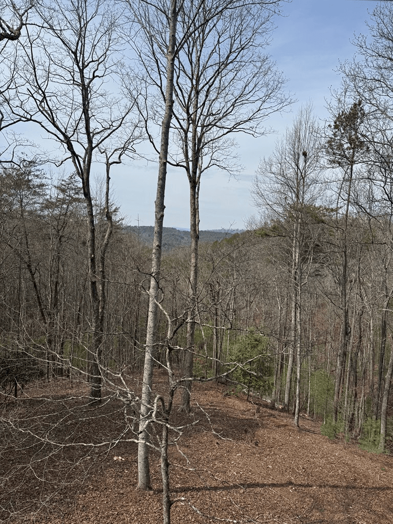 1600 My Mountain Road, Morganton GA 30560 - Photo