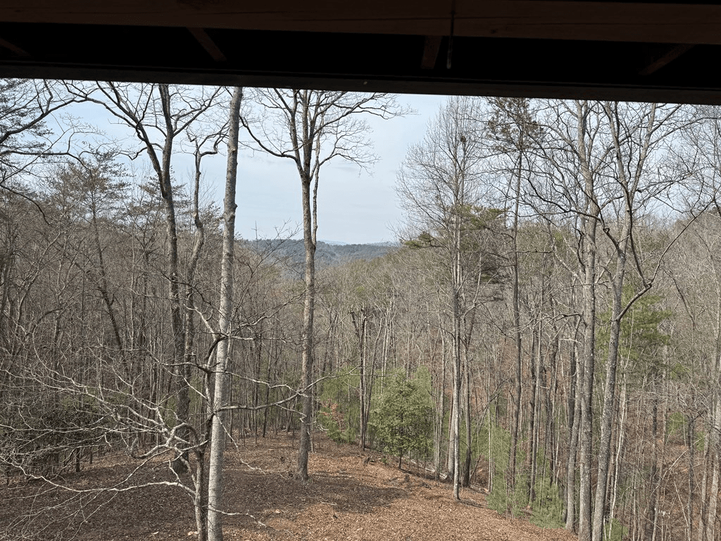 1600 My Mountain Road, Morganton GA 30560 - Photo