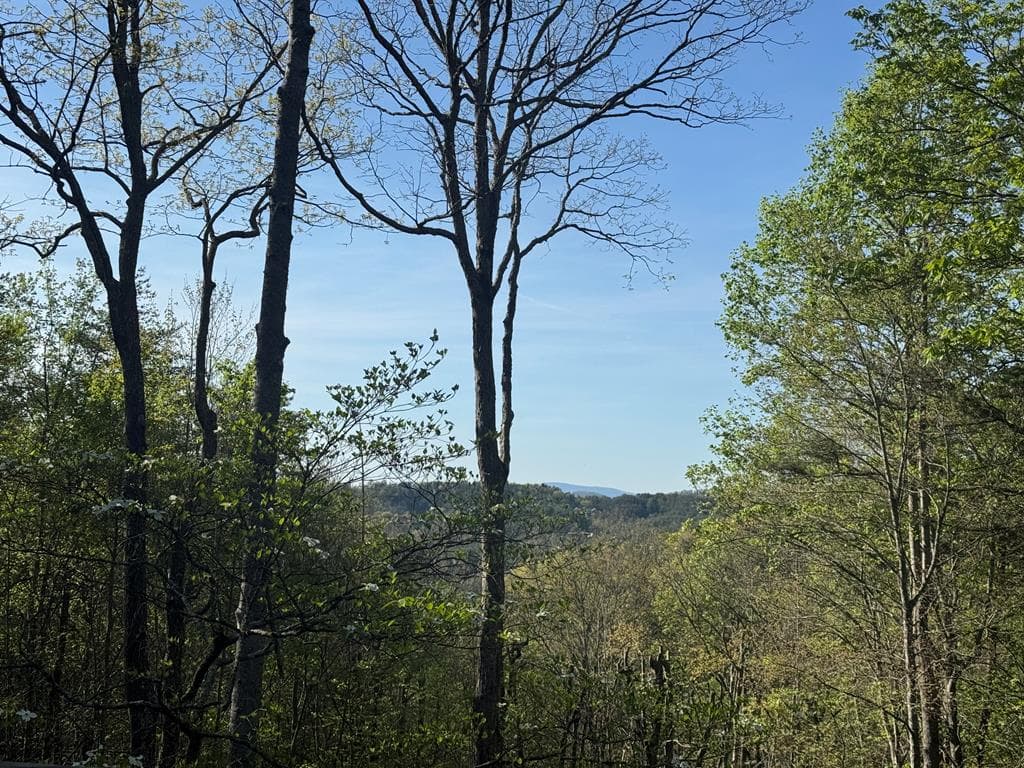 1600 My Mountain Road, Morganton GA 30560 - Photo