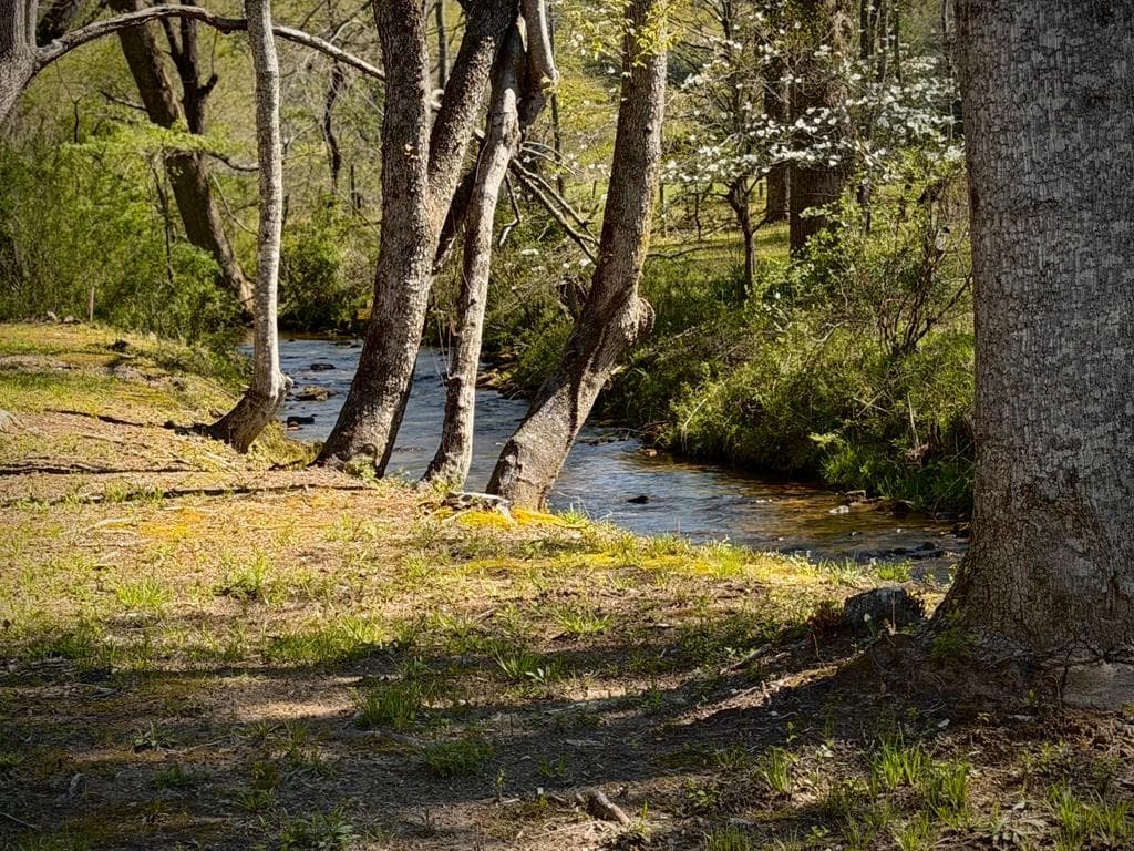 33 Pigeon Creek Drive, Blue Ridge GA 30513 - Photo