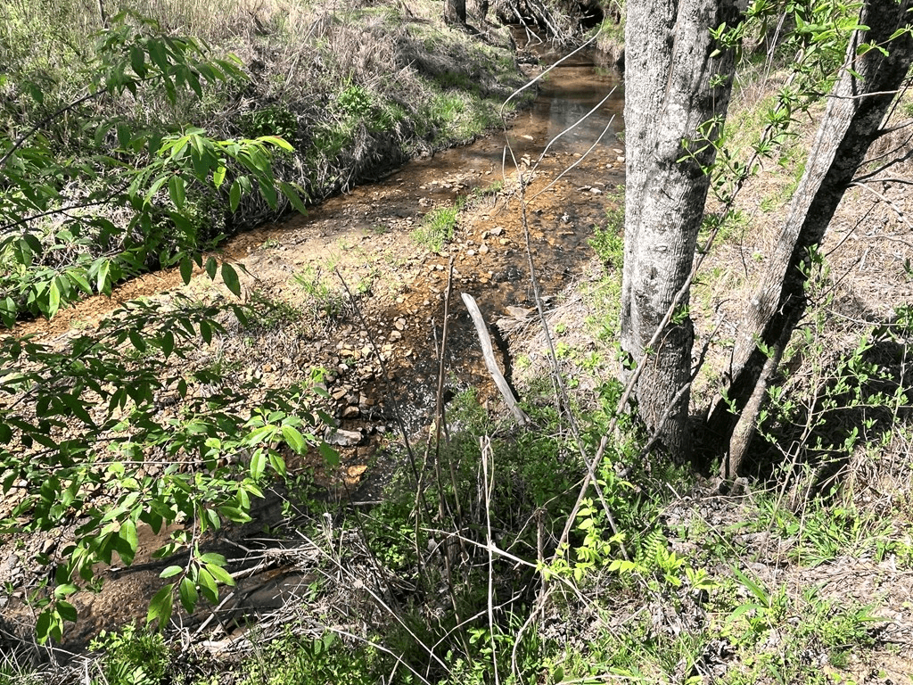 0 Low Gap Road, Hayesville NC 28904 - Photo