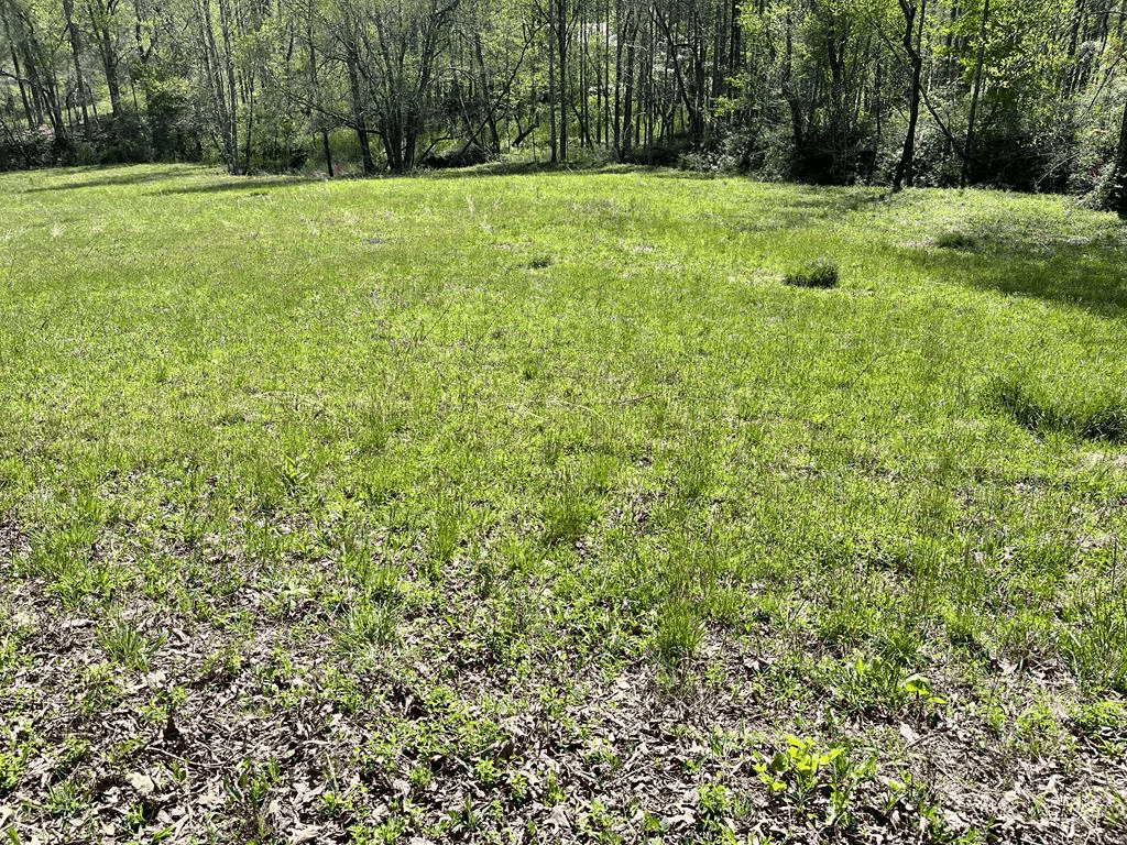 0 Low Gap Road, Hayesville NC 28904 - Photo