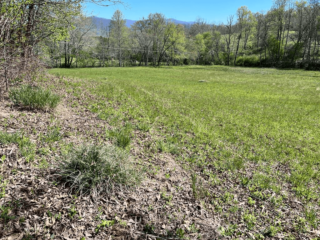 0 Low Gap Road, Hayesville NC 28904 - Photo