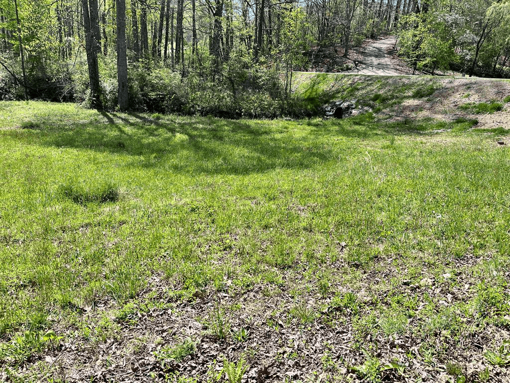 0 Low Gap Road, Hayesville NC 28904 - Photo
