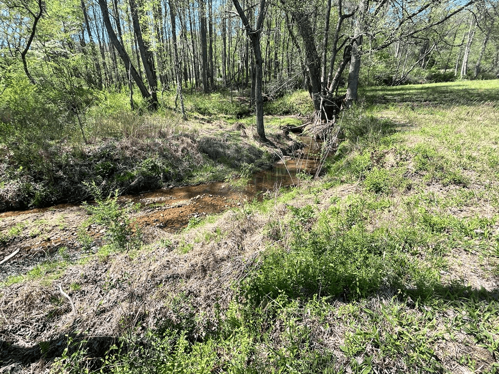0 Low Gap Road, Hayesville NC 28904 - Photo
