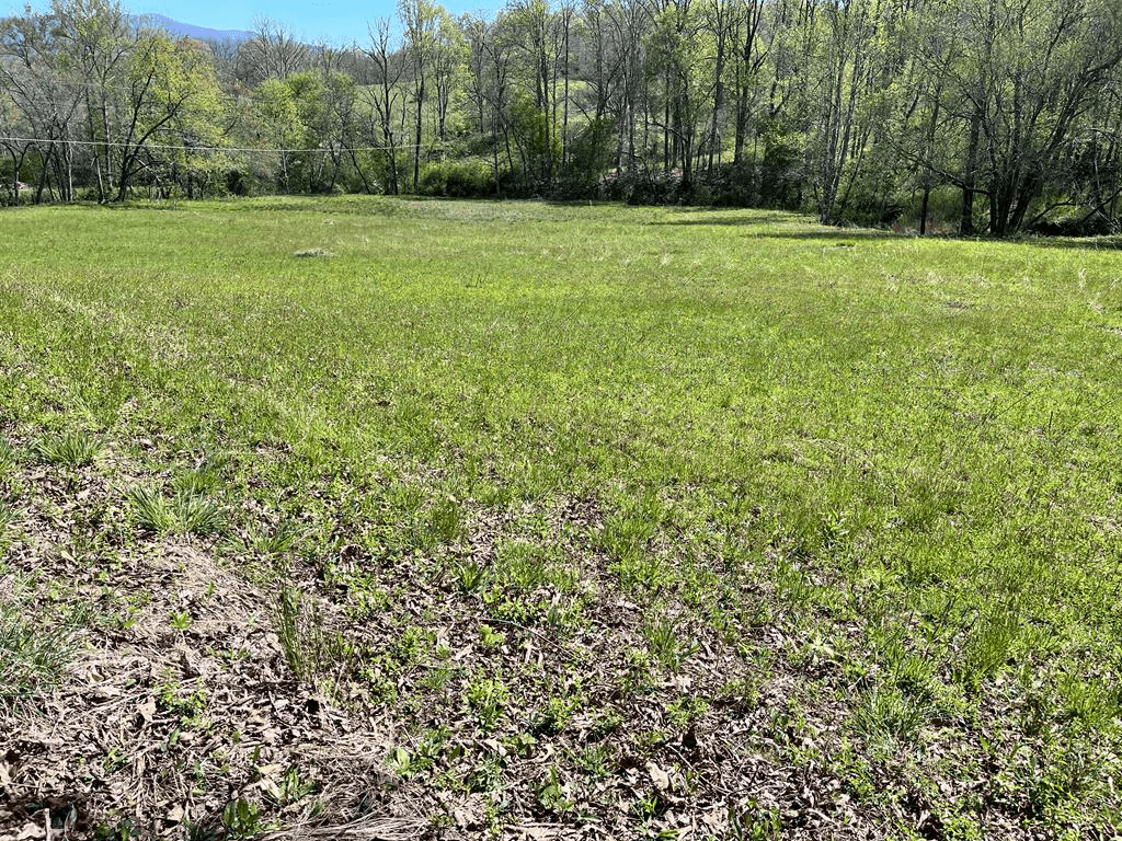0 Low Gap Road, Hayesville NC 28904 - Photo